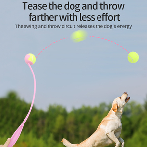 Giocattoli per animali domestici bastone da lancio per cani con pallina da Tennis per allenamento all'aperto giocattolo interattivo per animali domestici - Product Image 6