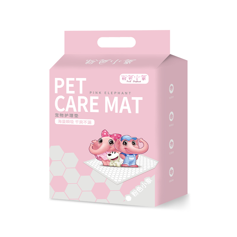 Pet Training Pads China Manufacturer Customized Disposable Pee Pet Urinal Puppy Training Pads