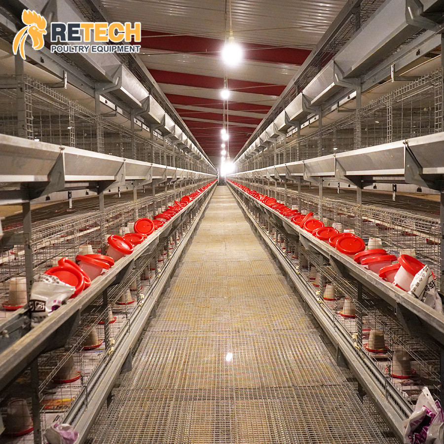 Volaille Matériel Agricole Q235 En Acier Norme Nationale Couveuse Cages pour les Poules Pondeuses