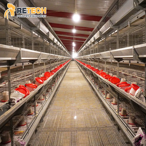 Volaille Matériel Agricole Q235 En Acier Norme Nationale Couveuse Cages pour les Poules Pondeuses - Product Image 5