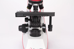 กล้องจุลทรรศน์<span class=keywords><strong>ชีวภาพ</strong></span>แบบสามตาสำหรับห้องปฏิบัติการเครื่องตรวจจับ<span class=keywords><strong>เพลี้ย</strong></span>อ่อนอสุจิด้วยแสง LED BMC513-IPL ฟีนิกซ์ - Product Image 6