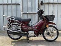 Moteur de Moto et Cyclomoteur Champ Factory, 150cc Directement Compatible avec Moteurs Essence 110cc, 125cc, 150cc pour Motos Routières