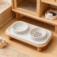 Accessoires pour chiens de compagnie en gros : Gamelle double de luxe en silicone et acier inoxydable pour alimentation lente