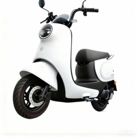 Vélo électrique Falcon 1000W 60/72V, 3 vitesses, autonomie de 31-60 km, cadre en acier carbone de 14 pouces, freins à disque et à tambour