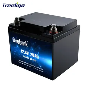 Batterie intelligente au lithium-ion 12V 24V 12.8V 3.2V 36V 48V 12Ah 20Ah 28Ah 40Ah 42Ah 75Ah 92Ah 105Ah 130Ah 138Ah 250Ah 310Ah Batterie Lifepo4