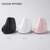 Mouse Nirkabel Dual Mode 2.4G Custom, Senyap, Dapat Diisi Ulang, Vertikal Ergonomis untuk Kantor, Laptop, Tablet, PC