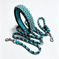 Ensemble de colliers et de laisses pour chien en paracorde tressé, doublure rembourrée, perles métalliques, boucle en cuir, fermeture à sécurité, personnalisable pour tous les chiens