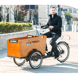 Tricycle électrique familial de style <span class=keywords><strong>danois</strong></span>, vélo <span class=keywords><strong>cargo</strong></span> à café, deux places, tricycle adulte - Product Image 6