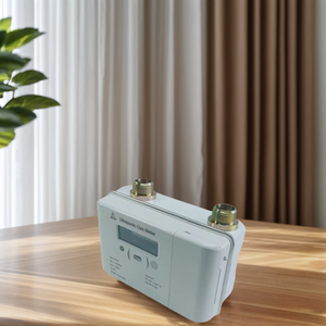 Compteur de gaz ultrasonique mural anti-sabotage ZHONGYI G2.5 pour usage commercial avec LoRaWAN NB-IoT GPRS - Product Image 1