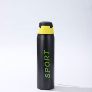 Bouteille d'eau sport isotherme portable en acier inoxydable 304 de 500 ml avec logo personnalisé, bouchon rabattable, pour activités de plein air, gym, randonnée, OEM - Product Image 2