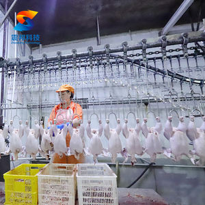 مسلخ ZB ، نتف ريش دوار ، ناتف الدجاج ، حروق الدجاج - Product Image 4