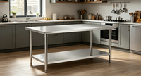 Table de travail mobile de laboratoire en acier inoxydable à deux niveaux avec étagère inférieure, plan de travail de cuisine à 4 roues, revêtement auto-nettoyant anti-corrosion