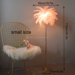 Lampadaire <span class=keywords><strong>plume</strong></span> chevet blanc <span class=keywords><strong>plume</strong></span> d'autruche coin debout lumière pour salon lampe <span class=keywords><strong>plume</strong></span> d'autruche - Product Image 5