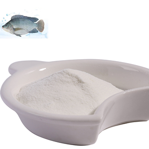 Proteine vitali puro pesce tipo 2 peptidi di collagene marino cioccolato frutta in polvere bevanda <span class=keywords><strong>Premium</strong></span> collagene integratori - Product Image 1