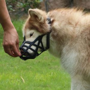 Nouvelle muselière d'entraînement pour chien, épaisse, robuste, souple, anti-morsure, équipement d'agilité, en TPR et nylon, imperméable, muselière en forme de panier pour chiens - Product Image 2