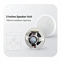 Haut-parleur de plafond de haute qualité au design moderne, compatible avec l'amplificateur de musique de fond, monté au plafond