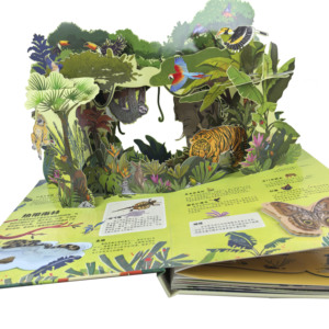 Động Vật Giáo Dục 3D Pop Lên Trẻ Em Cuốn Sách In Ấn Trẻ Em Của Tùy Chỉnh Pop PP Câu Chuyện Cuốn Sách Một Cửa Sổ Bật Lên Trẻ Em Sách - Product Image 6