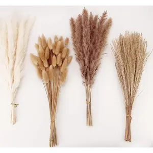 UO 73pcs Natural Pampas Grass Bouquet Decoração Longa Duração Buquê De Flores Secas para Boho Home Decor e Boho Wedding Deco