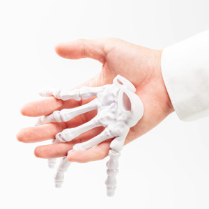 Thiết kế phổ biến <span class=keywords><strong>3D</strong></span> in xương sọ Đồ chơi thú vị dịch vụ tạo mẫu nhanh cho sinh viên - Product Image 2