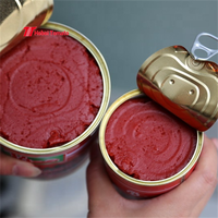 2200g+70g Pâte de tomate en conserve de la meilleure usine au meilleur prix sans additif