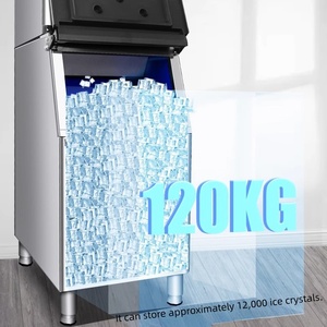 Machine à glaçons commerciale 220V |   Machine à glaçons en acier inoxydable de 45 kg de capacité pour restaurant et bar - Product Image 6