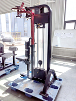 Vente d'usine à bas prix Triceps commerciaux exercice Gym Fitness équipement Pin chargé Triceps Machine