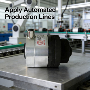 ดิสก์เบรกลมนิวเมติกอุตสาหกรรม50NM 588NM กระตุ้นสภาพใหม่ที่มี<span class=keywords><strong>ส่วนประกอบ</strong></span>แบริ่งหลัก - Product Image 3