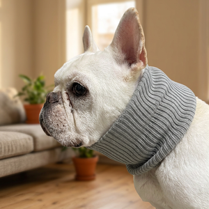 New design cute ecofriendly oyster shell pet products collar - Product Image 1