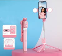 Offre Spéciale Mini charge portable télécommande multifonctionnelle lumière de remplissage support pour téléphone portable trépied selfie bâton