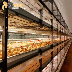 60K 80K Birds Capacity Per House Higher Raising Capacity Modern Design Automatic Broiler Cage System