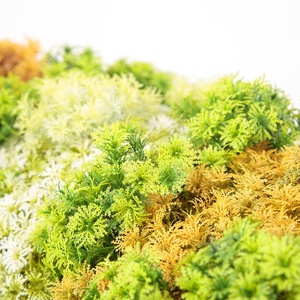 Panneaux muraux en herbe artificielle ZC 1*1M personnalisés en plastique <span class=keywords><strong>3D</strong></span> anti-UV respectueux de l'environnement avec garantie de 3 à 5 ans pour l'extérieur/l'intérieur - Product Image 3