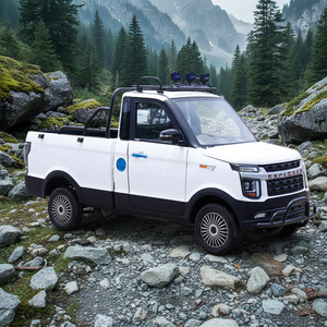 Vente en gros d'usine, petit <span class=keywords><strong>camion</strong></span> électrique, 3000W, 50 km/h, capacité de charge de 600 kg, avec caisse de chargement - Product Image 6