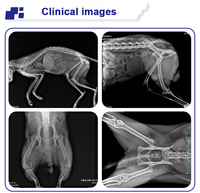 Sistema Radiografico Veterinario Digitale DR ad Alta Frequenza da 32kW con Rilevatore a Pannello Piatto e Doppia Focalizzazione per Cliniche Veterinarie e Ospedali per Animali