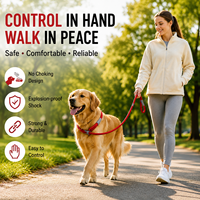 Meilleure laisse réglable de luxe pour chien, idéale pour la traction. Laisse robuste et amortissante pour la marche et les activités de plein air.