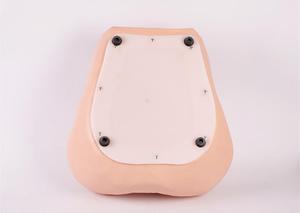 Modello avanzato di formazione per diagnosi interna ginecologica modello di esame femminile palpazione uterina ed esame visivo - Product Image 6