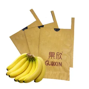High quality waterproof avoid pests fruit mango guava banana protection kraft cover paper bag