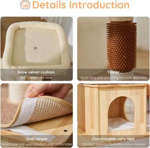 Arbre à chat naturel en bois massif pour grands/petits chats avec griffoir en sisal et <span class=keywords><strong>appartement</strong></span> - Product Image 3