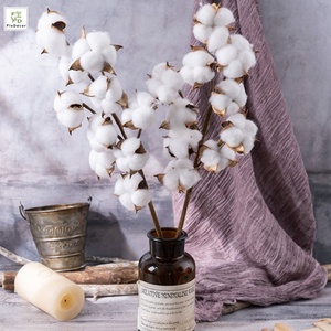 Hot Sale Artificial White 10 Heads Dried <strong>Cotton</strong> Flower Branch Dry <strong>Stem</strong> for Home Christmas Wedding Party Decoration - Product Image 5
