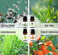 Minyak Esensial Jarum Pinus Organik Origanum 10ml Relaksasi Otot Perawatan Kulit Semua Jenis Kulit Grosir Massal Layanan OEM