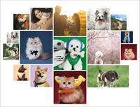 Art mural personnalisé sur mesure pour animaux de compagnie, portrait 3D en grès gaufré, photo de chien ou de chat, décoration pour salon, couloir, entrée, maison