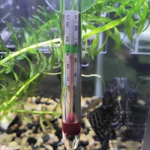 Termómetro Digital Flotante para Pecera, con Ventosa, de Vidrio, Impermeable, de Alta Precisión - Product Image 4