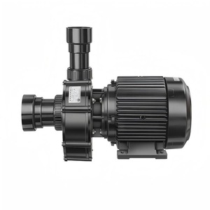 Bomba Centrífuga SPECK 2381310247, Bomba de Agua Motorizada de Plástico con Altura de Elevación de 54 m - Product Image 5