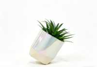 Ventes en gros de pots à succulentes en céramique avec finition chromée irisée - Pots émaillés holographiques pour la décoration intérieure de bureau, de maison et de jardin