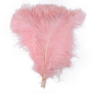 Tiges épaisses en vrac mariage fleur stands blanc artisanat <span class=keywords><strong>60</strong></span>-65 <span class=keywords><strong>cm</strong></span> grande couleur plume <span class=keywords><strong>d</strong></span>'<span class=keywords><strong>autruche</strong></span> pour mur Art mariage carnaval <span class=keywords><strong>d</strong></span>écor - Product Image 1