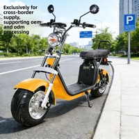 Vélo électrique à deux roues certifié CE, batterie amovible CP1.9, pneus larges, transport urbain, 45 km/h, 200 kg, non pliable, 85 cm