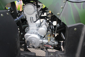 <span class=keywords><strong>Quad</strong></span> 4 roues à essence CE pour adultes, transmission manuelle, système de transmission par arbre, <span class=keywords><strong>250cc</strong></span> - Product Image 4