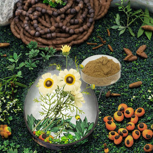 天然アマチャヅルエキス、食品グレード原料粉末、アマチャヅル粉末、小苦草、濃度10%-98% - Product Image 4