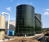 Système de Digesteur Biogaz-Énergie Clé en Main à Haute Efficacité avec Moteur de Pompe pour Déchets Alimentaires et Fumier d'Élevage, Garantie 5 Ans pour le Kenya