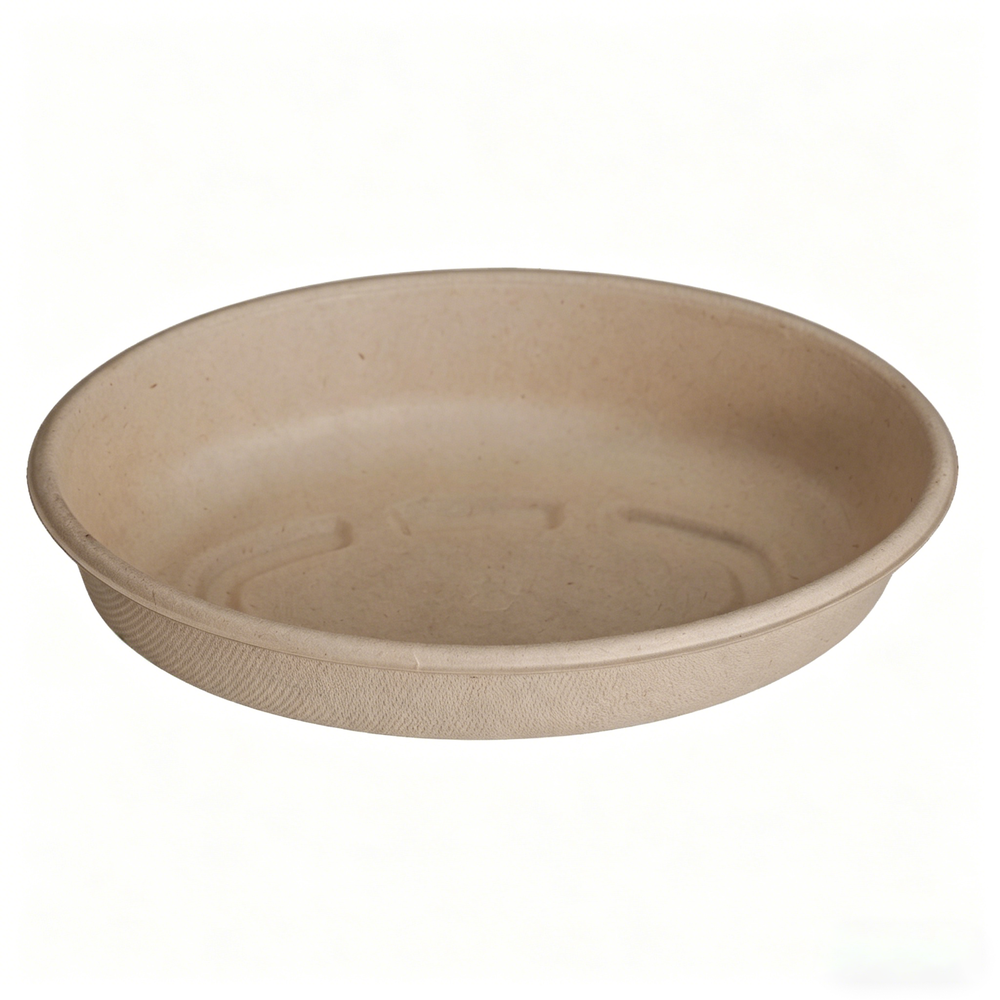 Eco-Friendly Sugarcane Bagasse Plates Biodegradable Disposable Dinnerware