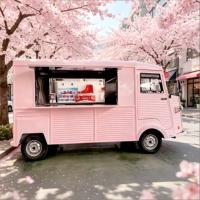 Remorque de cuisine mobile OEM directe usine avec éviers et rangements, chariot alimentaire pour BBQ, pizza et crème glacée pour startups